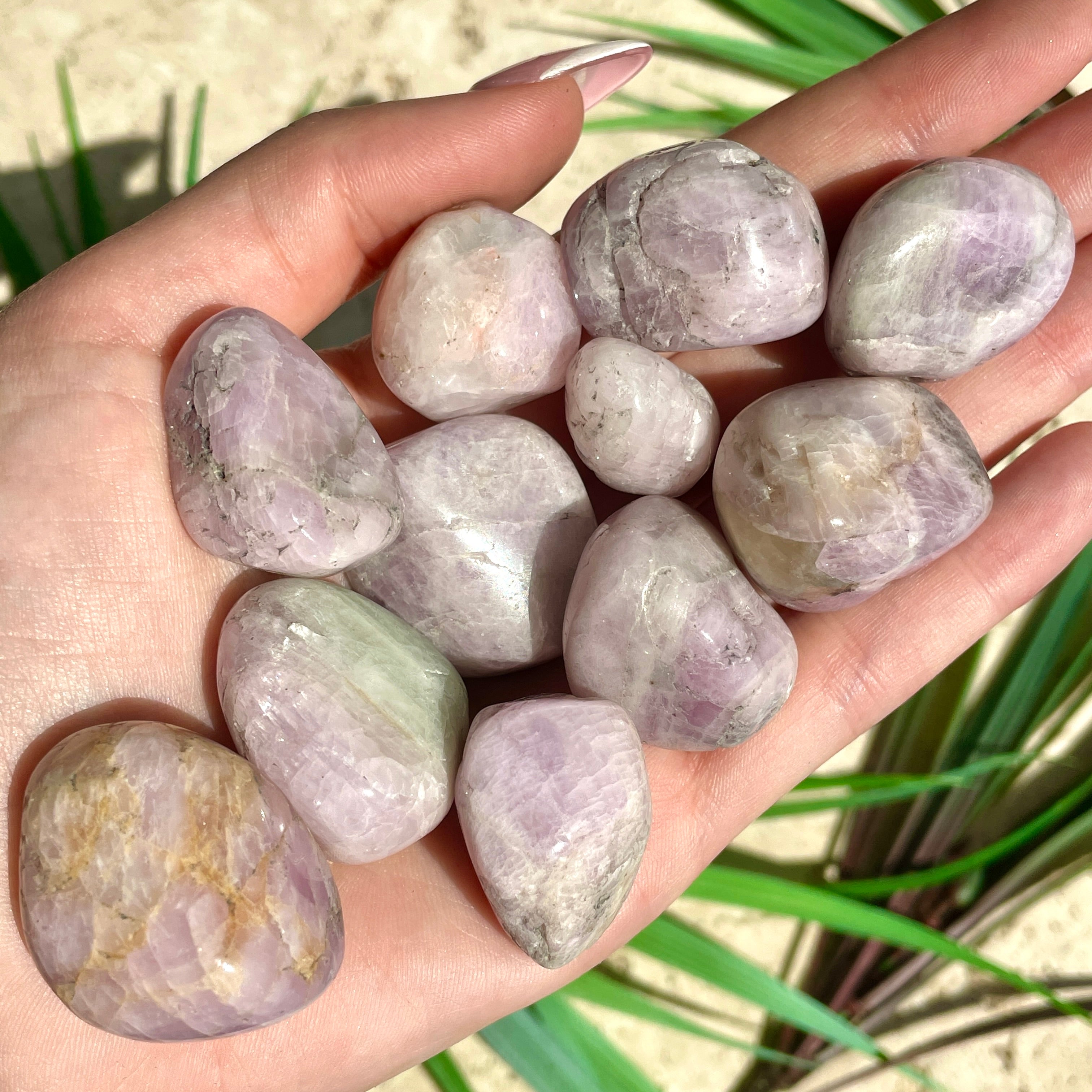 Kunzite Tumbled - 200gm Kunzite Tumbled - 200gm